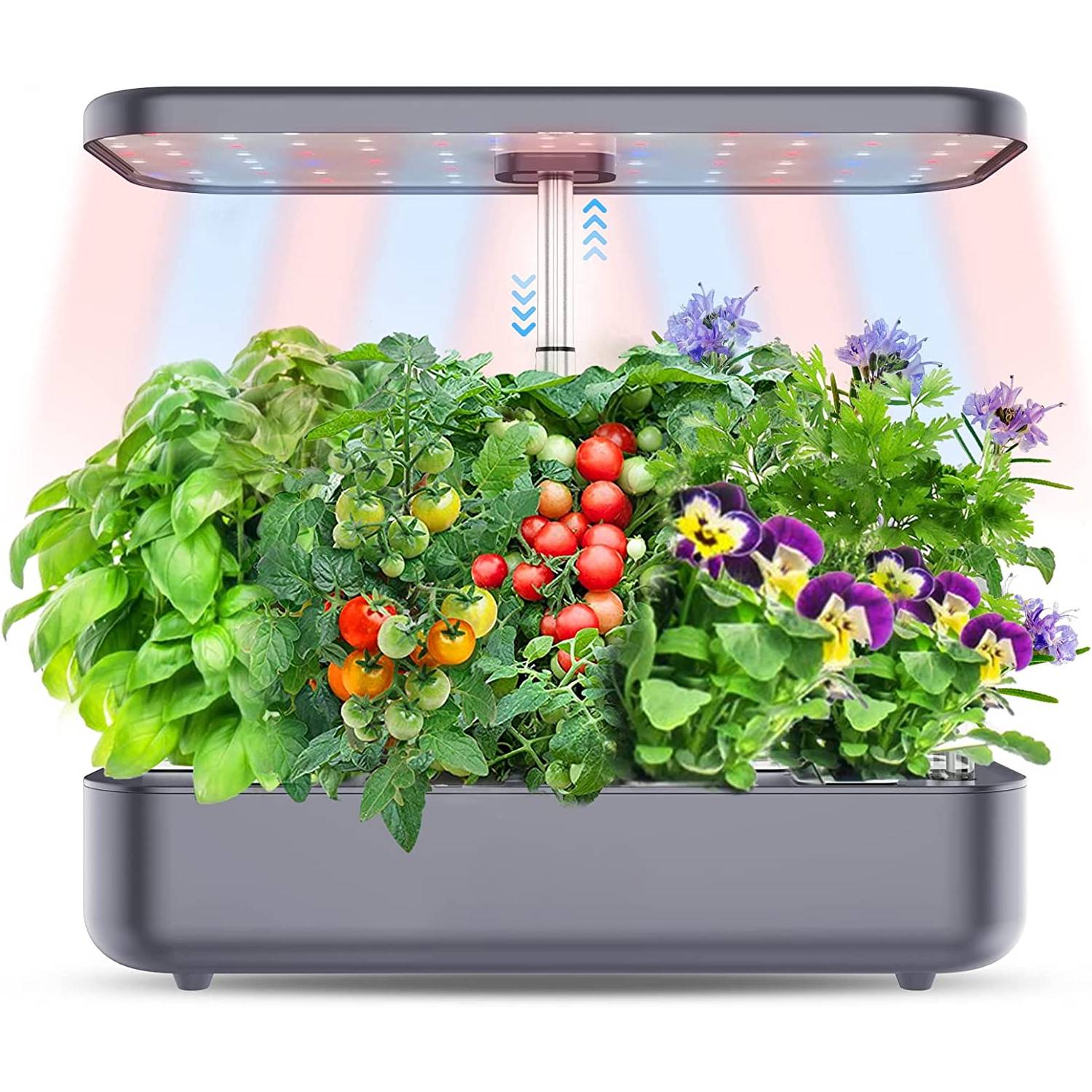 A 12 pod countertop herb garden with its light rod raised